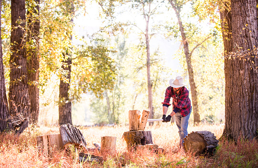 Man chopping firewood out in sunlit forest on beautiful fall morning