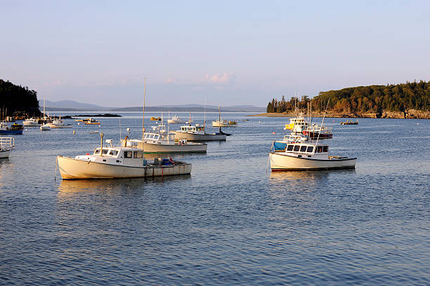 istock Lobster Boats in Harbor 504607577