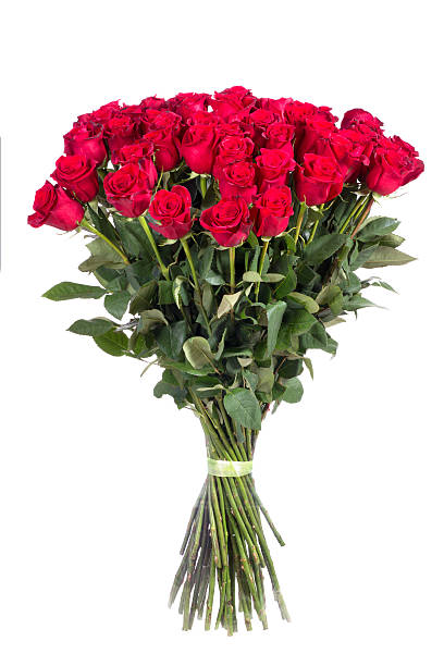 istock bouquet of red roses 504609864