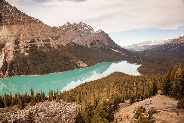 See Peyto Lake, Banff National Park – Foto