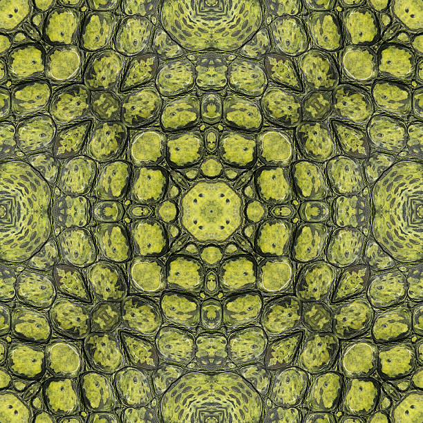 istock Crocodile skin seamless texture 504612684