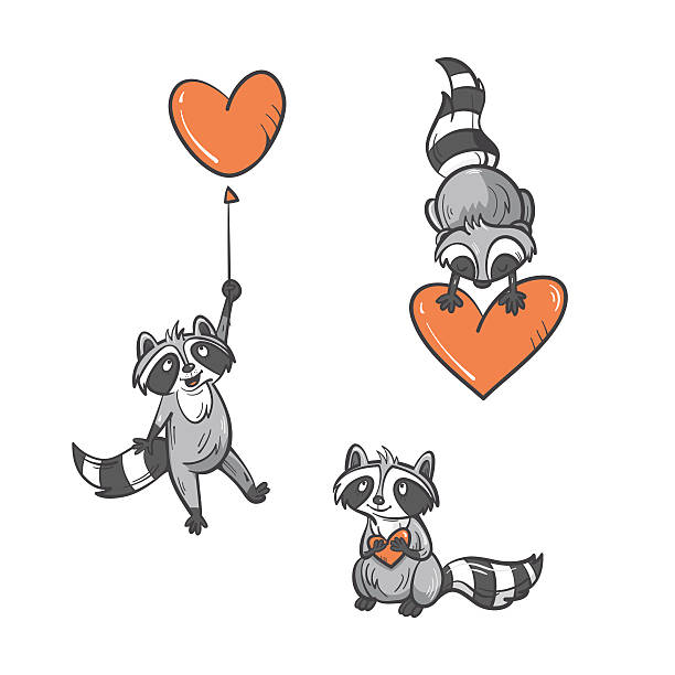 Cartoon  raccoons set. Cartoon cute  raccoons set by Valentine's Day. Vector image. Doodle style. heart shape valentines day fur pink stock illustrations