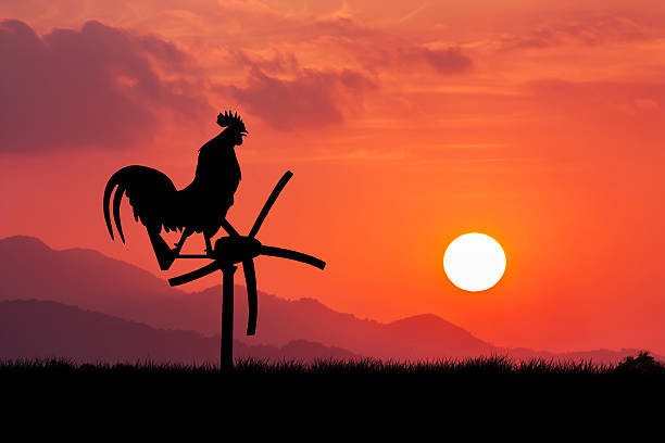 istock Roosters crow stand on a wind turbine. 504614926