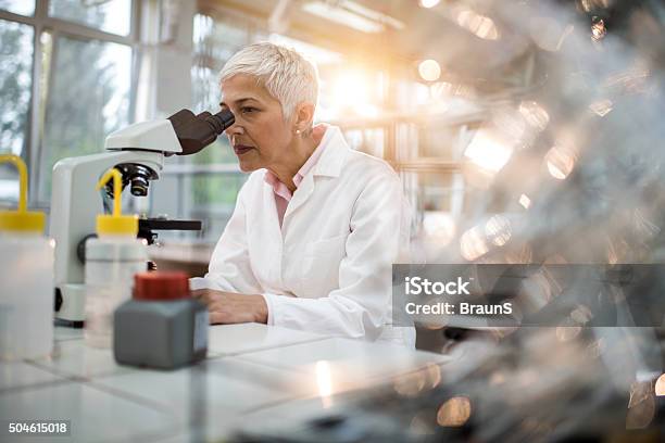 Female Chemist Analyzing Something Through A Microscope In Laboratory Stock Photo - Download Image Now