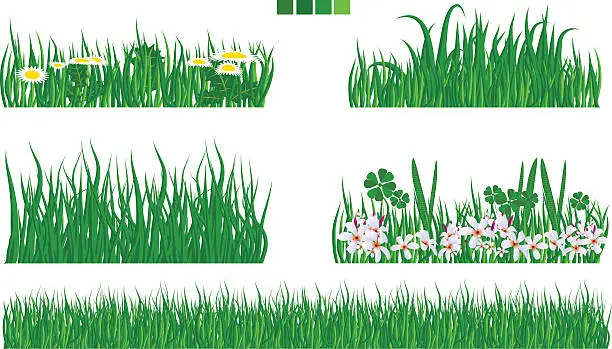 Vector illustration of Illustrated vector green grass with flower and leaf set