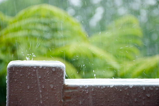 istock Rain, New Zealand 504616364
