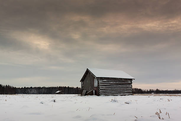 mattina nei campi - winter finland agriculture barn foto e immagini stock