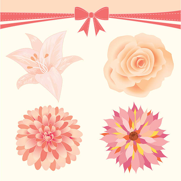Lilys Vectores Libres de Derechos - iStock Lilys Vectores Libres de Derechos - iStock