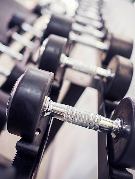 istock Weights in a row at gym 504633308