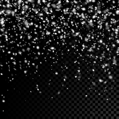 Snow Without Backround Vector Falling Snow On Seamless Transparent Background Stock ...