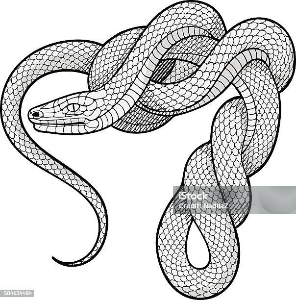 Ilustración de Serpiente Ttwisted Elemento Decorativo y más Vectores Libres de Derechos de Serpiente - Serpiente, Vector, Cuerda