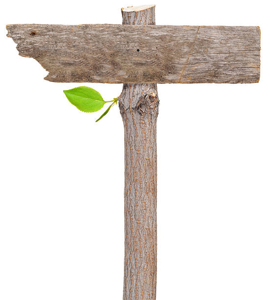 istock Wooden sign 504634938