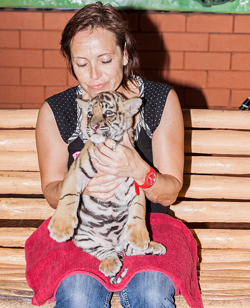 istock Woman with a tiger cub on her lap 504645976