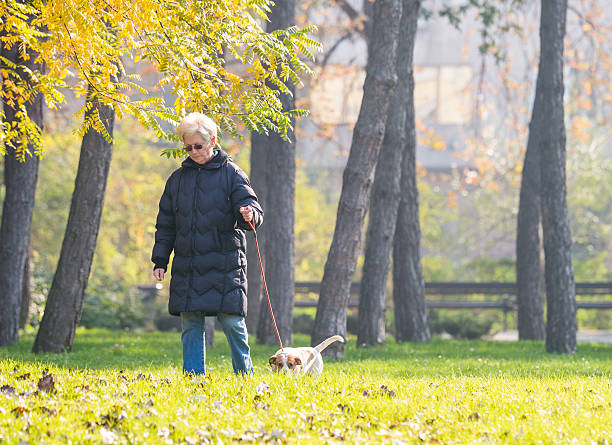 istock Old woman with a dog 504646982