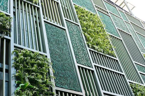 Green facade, vertical garden in architecture