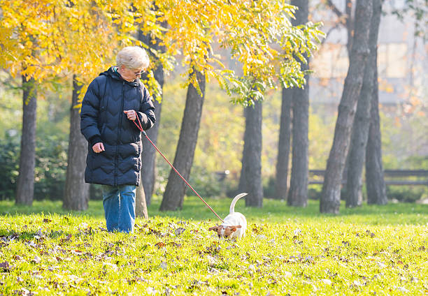 istock Old woman with a dog 504647330