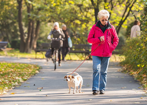 istock Old woman with a dog 504648532