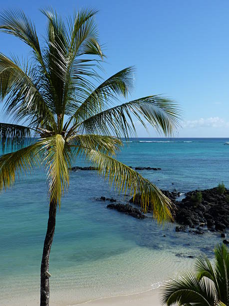 istock Beach Of Grand Baie 504651895