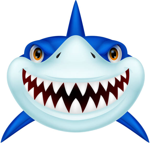 акула руководитель мультяшный - shark animal blue cartoon stock illustrations