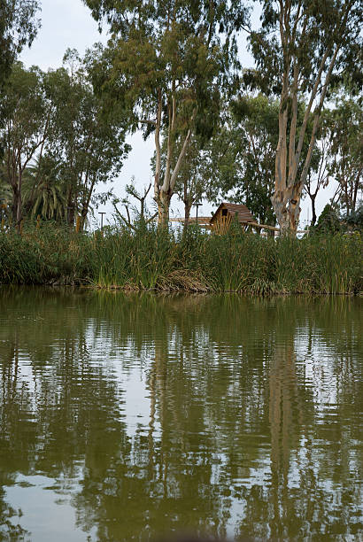 Il Parco naturale Albufera - foto stock