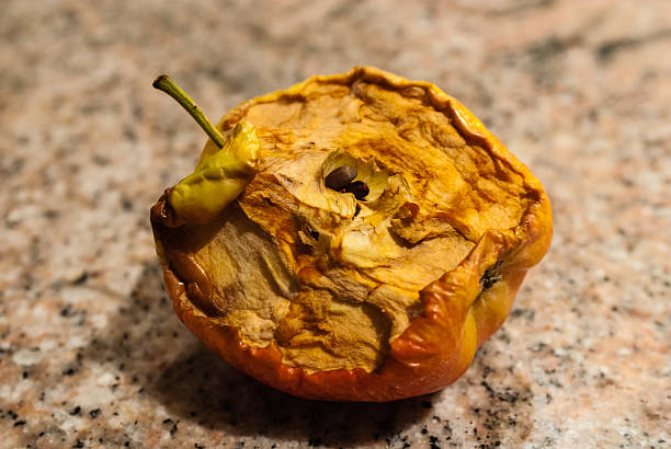 meia comer maçãs secas - rotting apple fruit missing bite - fotografias e filmes do acervo