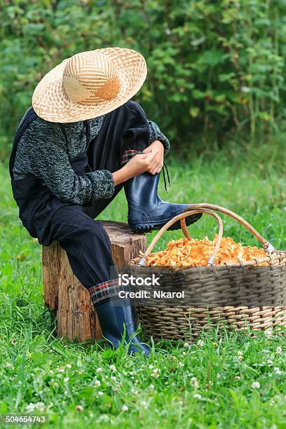 Boy Wearing Straw Hat Leaning Over Wicker Basket Of Chanterelles Stock Photo - Download Image Now