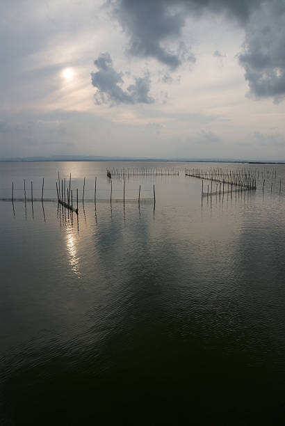 Il Parco naturale Albufera - foto stock