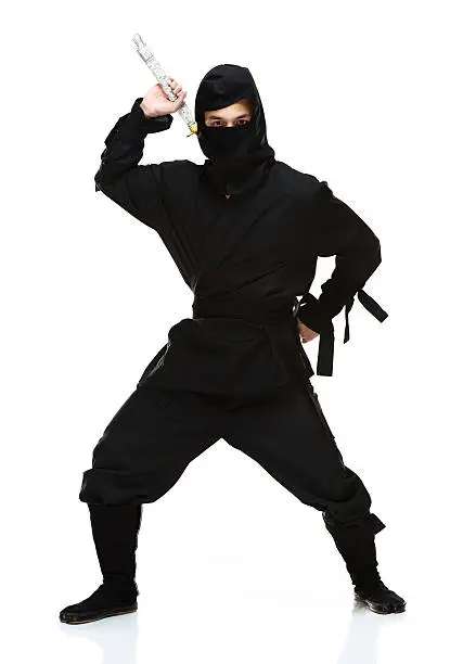 Ninja in action & looking at camerahttp://www.twodozendesign.info/i/1.png
