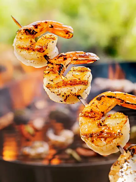Shrimp Skewers on an outdoor BBQ -Photographed on Hasselblad H3D2-39mb Camera