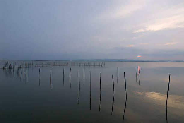 Il Parco naturale Albufera - foto stock