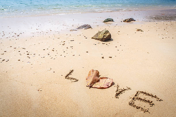 istock Isolated white sand beach on tropical island 504655911