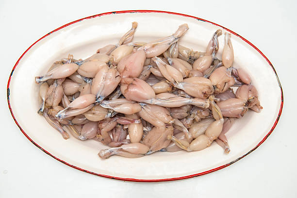 Fresh and raw frog legs ready to be cooked