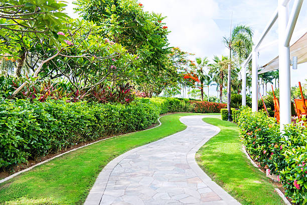 通路 - formal garden tropical climate park plant ストックフォトと画像