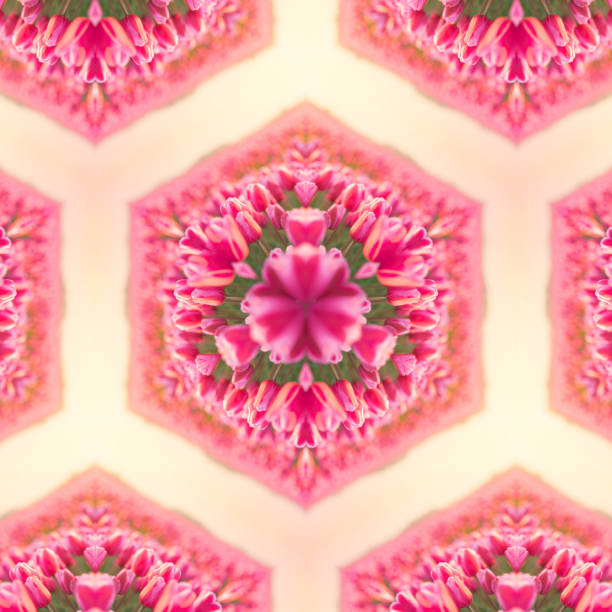 istock Tulips in kaleidoscope 504683681