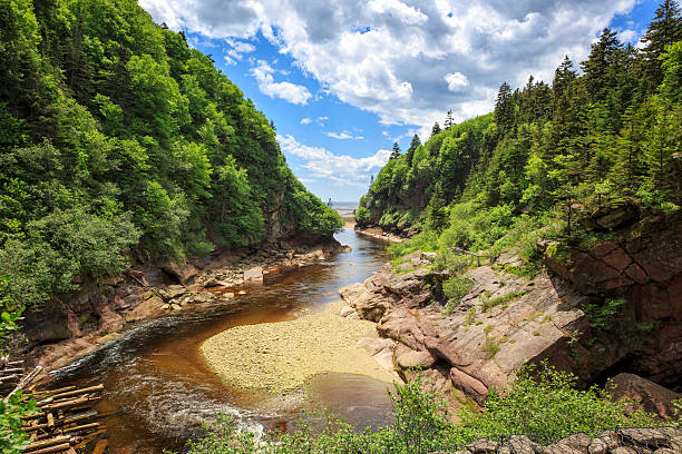 Point Wolfe at Fundy National Park, New Brunswick, Canada