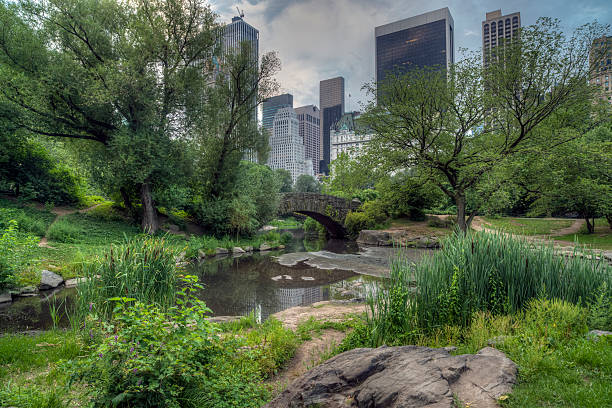 istock Gapstow bridge Central Park, New York City 504685799