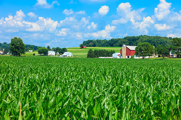 ohio rurales país - oh beautiful fotografías e imágenes de stock