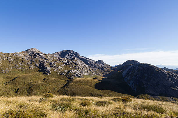 View of Mount Owen in Kahurangi National Park View of Mount Owen in the Kahurangi National Park on the South Island in New Zealand. michael owen stock pictures, royalty-free photos & images