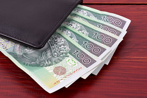 istock Walet with polish money 504698350