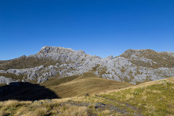 View of Mount Owen in Kahurangi National Park View of Mount Owen in the Kahurangi National Park on the South Island in New Zealand. michael owen stock pictures, royalty-free photos & images