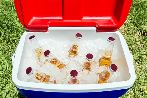 Picnic cooler box with bottles of beer and ice on grass during Australia Day celebration