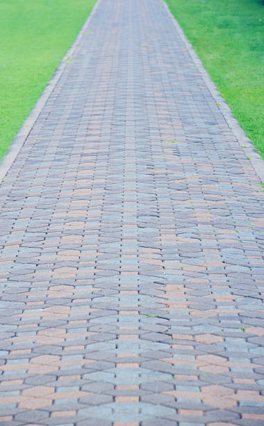 istock walk way in the park 504700066