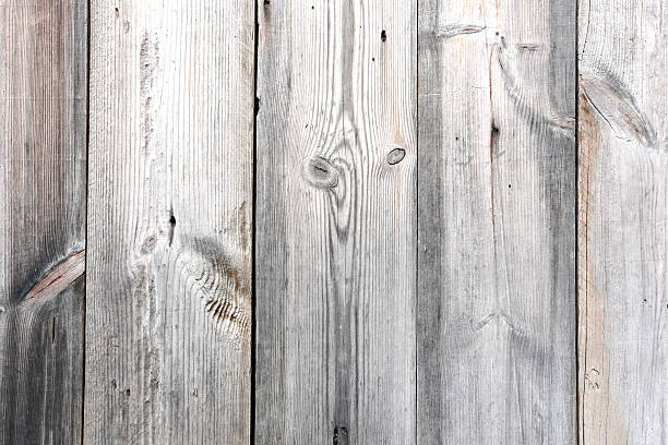 istock Light wooden vintage on background texture. 504701226