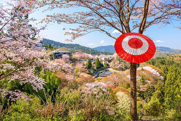 yoshinoyama, nara, japan