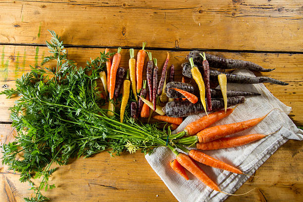 Carrots stock photo