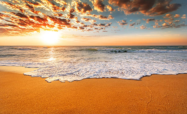 istock Colorful ocean beach sunrise with deep blue sky. 504702480