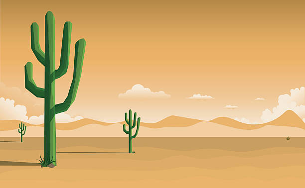 ilustraciones, imágenes clip art, dibujos animados e iconos de stock de paisaje del desierto - cactus