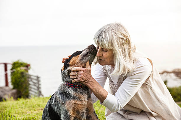 istock Senior woman with a dog 504703916