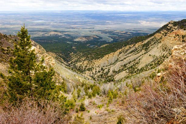 istock Mesa Verde National Park 504704066