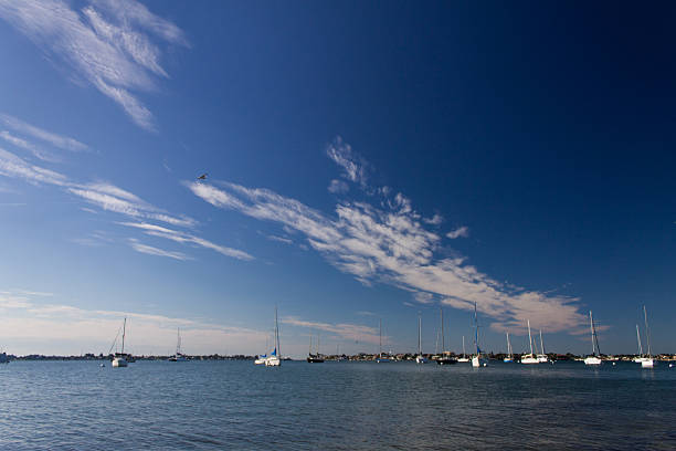 Marina Jack, Sarasota, Fl stock photo